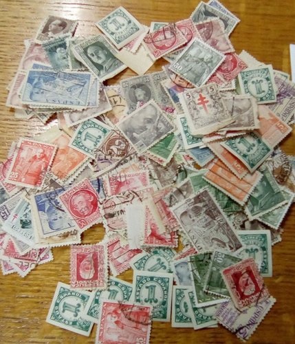 354.jpg