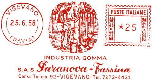 FMArboldelCaucho58Agora.jpg