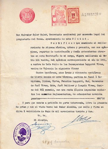 OLIVA, serie general