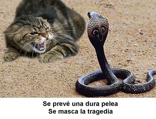 0-048.jpg