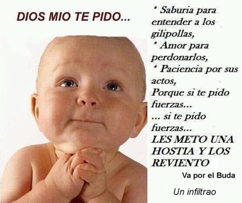 DIOS MIO TE PIDO.jpg