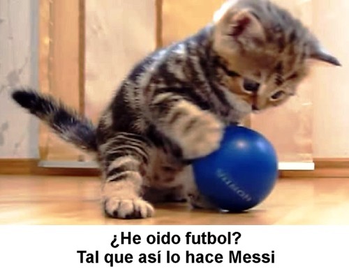 0-071.jpg