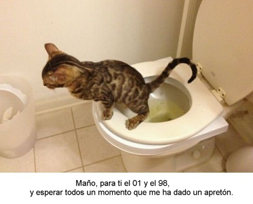 0-126.jpg