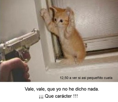 0-113-2.jpg
