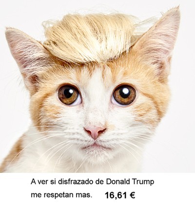 0-142.jpg