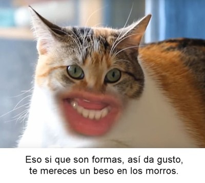 0-138.jpg
