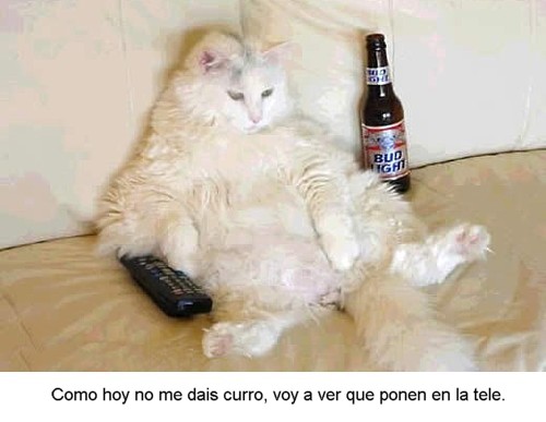 0-009.jpg