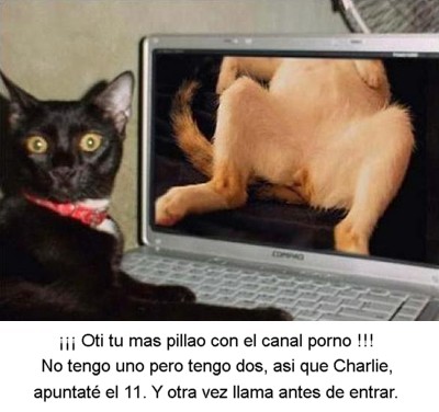 0-172 Oti tu mas pillao con la web porno.jpg