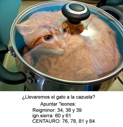 0-184.jpg