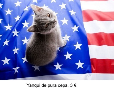 0-204.jpg