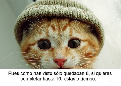 0-013.jpg
