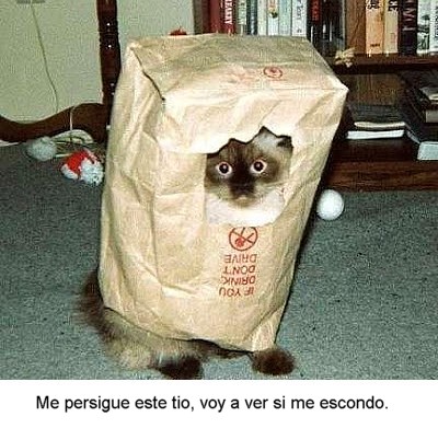 0-193.jpg