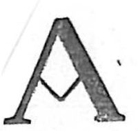11-A-Cieza.jpg