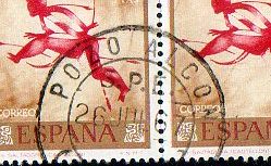 SPE POZO ALCON.jpg
