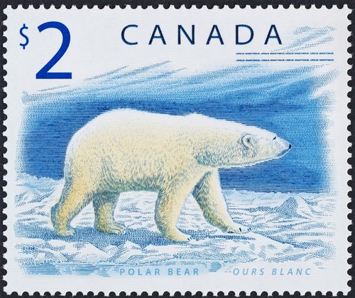 1998_Ca.jpg