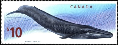 2010_Can.jpg