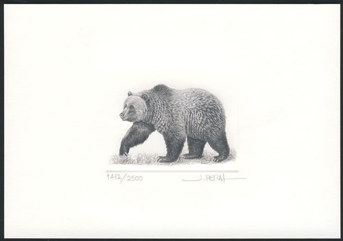 1997_Ca.jpg