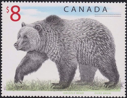 1997_Cana.jpg
