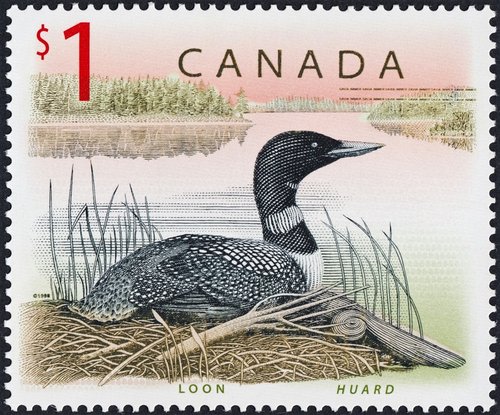 1998_Canadá_.jpg