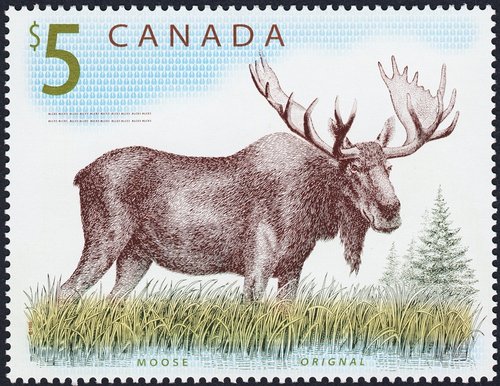 2003_.jpg