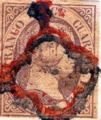 12 cuartos araña roja det.jpg