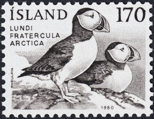 1980_Islandia_Lunde Fratercula Artica.jpg
