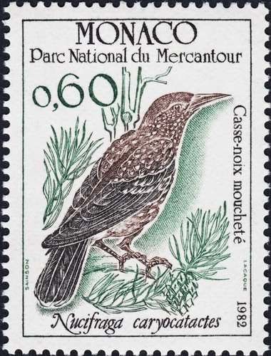 1982_Mónaco_Nucifraga caryocatactes.jpg