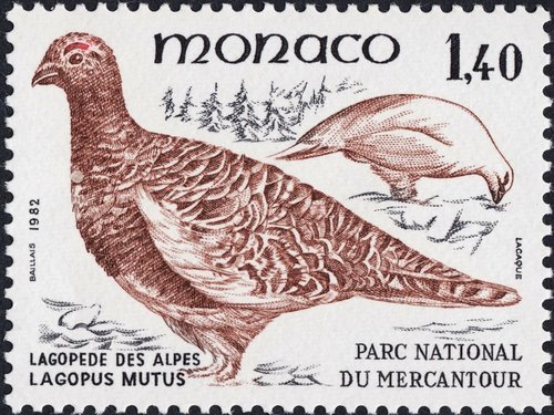 1982_Mónaco_Lagopus mutus.jpg
