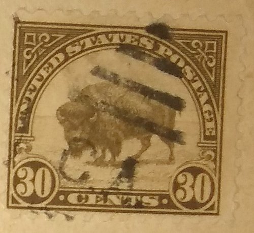 110.jpg