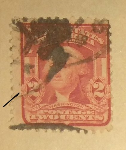 205.jpg
