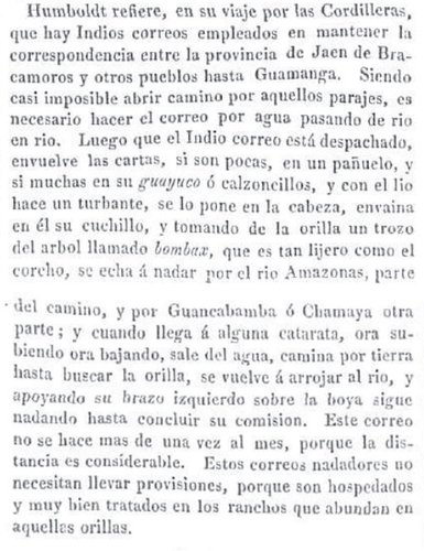 los correos nadadores text.jpg