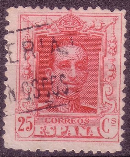 77554309.jpg