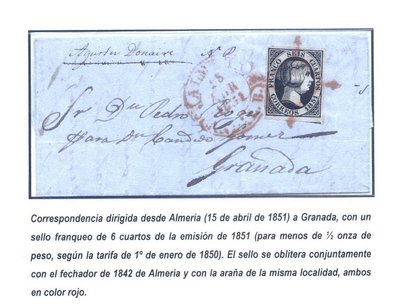 El soso con araña roja.jpg