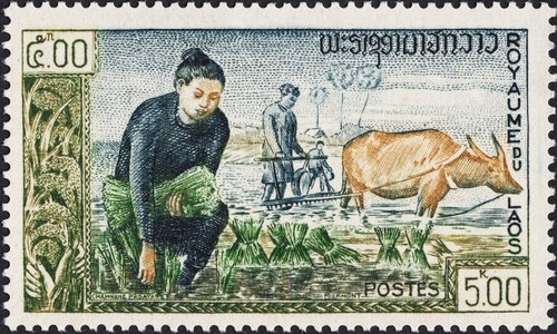 1963_Laos.jpg