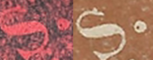detalle1.jpg