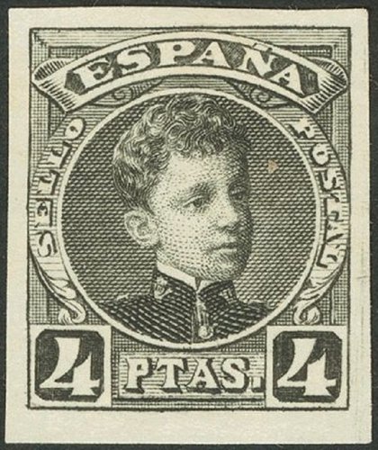 355 - copia1683.jpg