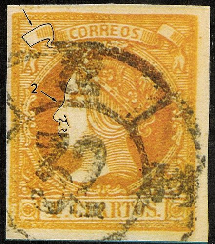 TIPO VII
