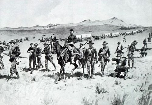1e.jpg