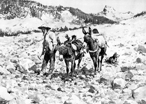 50c_1898.jpg