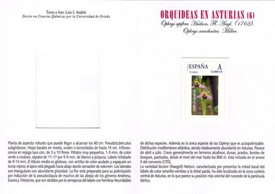 Sello personalizado. Oviedo. Orquídeas en Asturias. 6. Interior. Baja.jpg