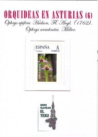 Sello personalizado. Oviedo. Orquídeas en Asturias. 6. Carpeta. Baja.jpg