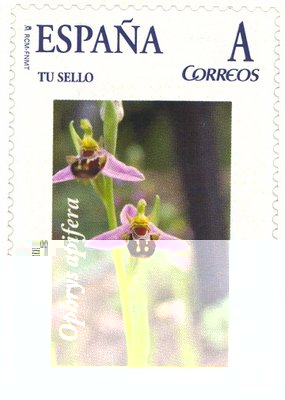 Sello personalizado. Oviedo. Orquídeas en Asturias. 6.jpg