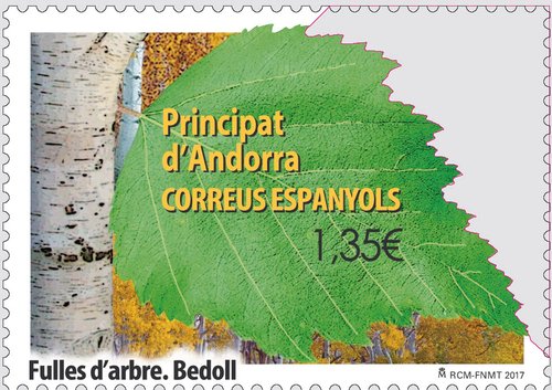 Andorra. 2017-06. Fulles d'arbres. Bedoll. Boceto. Baja.jpg