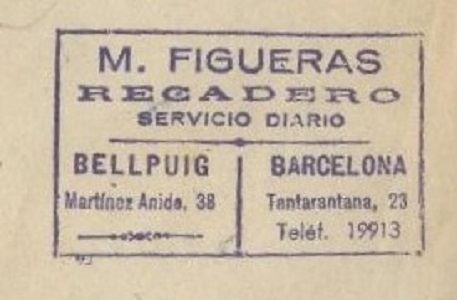 53467138 - copia.jpg