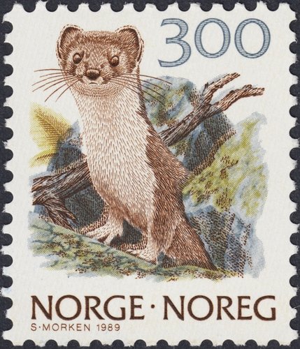 1988-1991_Noruega_Fauna_1989_Armiño.jpg