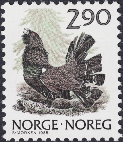 1988-1991_Noruega_Fauna_1988_Urogallo.jpg