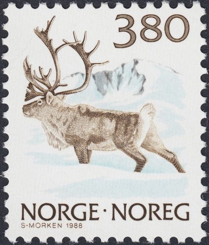 1988-1991_Noruega_Fauna_1988_Reno.jpg