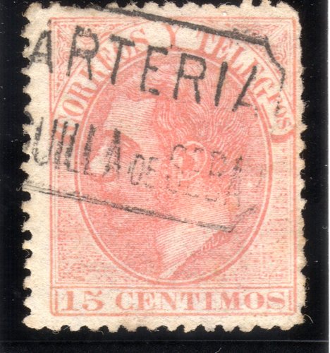 Carteria Seba.jpg