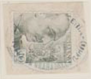carteria pobla de granadella (Lérida).jpg