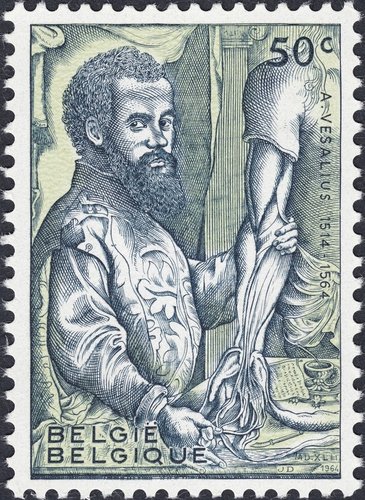 1964_Bélgica_Andreé Vesalius.jpg
